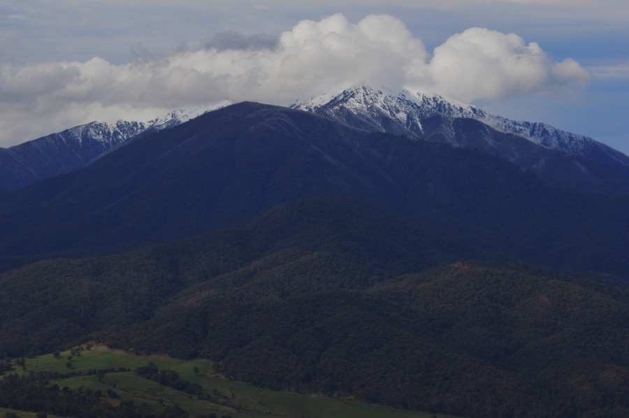 Mt Bogong from Tawonga Pass